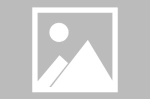 杭州公交车可以用上海交通卡吗？一文解答跨城交通卡互通问题