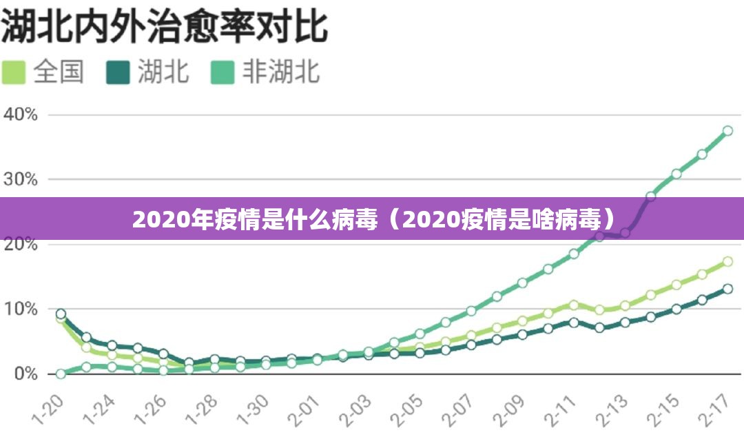2020年疫情是什么病毒（2020疫情是啥病毒）