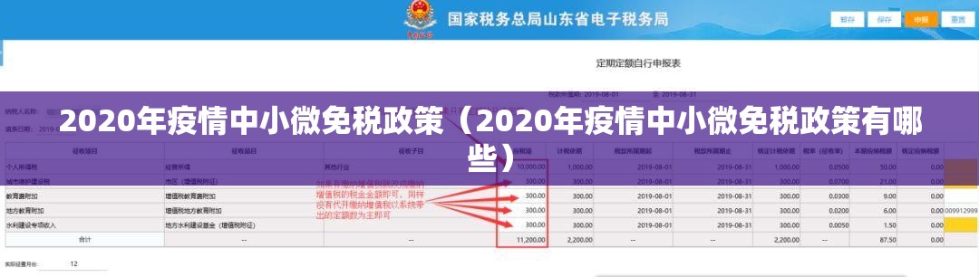 2020年疫情中小微免税政策（2020年疫情中小微免税政策有哪些）