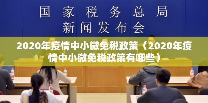 2020年疫情中小微免税政策（2020年疫情中小微免税政策有哪些）