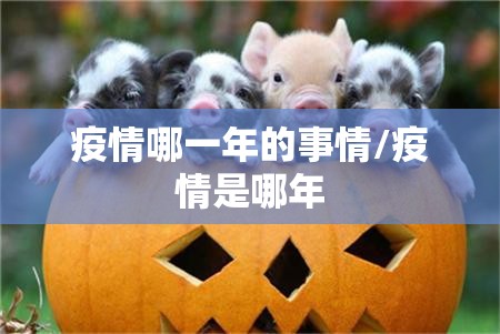 疫情哪一年的事情/疫情是哪年