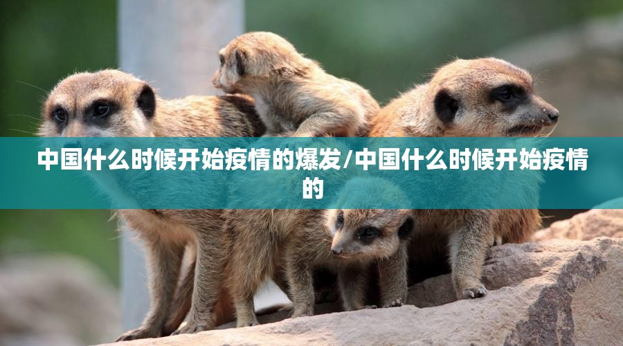 2024甘肃疫情封城是啥病毒啊/甘肃省疫情封城时间