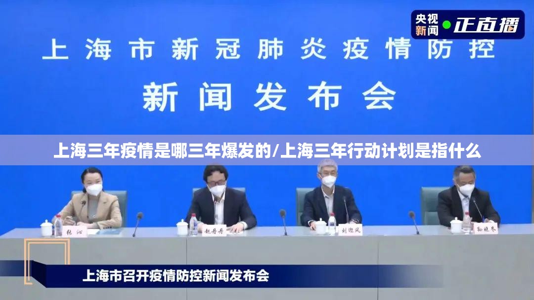 上海三年疫情是哪三年爆发的/上海三年行动计划是指什么
