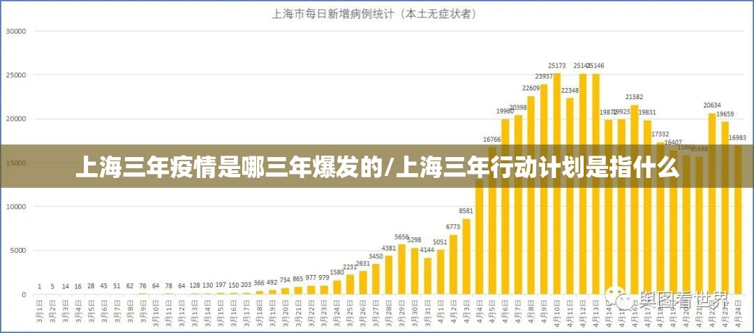 上海三年疫情是哪三年爆发的/上海三年行动计划是指什么