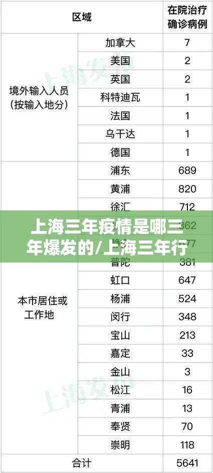 上海三年疫情是哪三年爆发的/上海三年行动计划是指什么