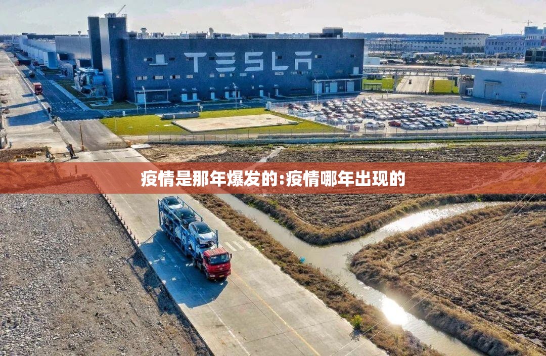 疫情是那年爆发的:疫情哪年出现的