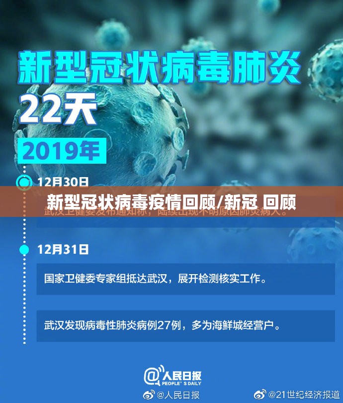 新型冠状病毒疫情回顾/新冠 回顾