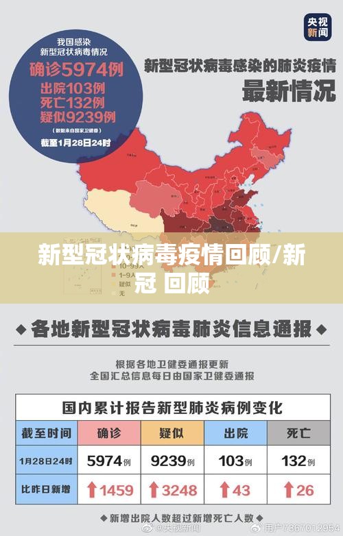 新型冠状病毒疫情回顾/新冠 回顾