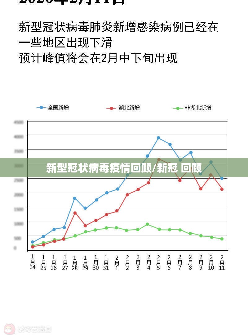 新型冠状病毒疫情回顾/新冠 回顾