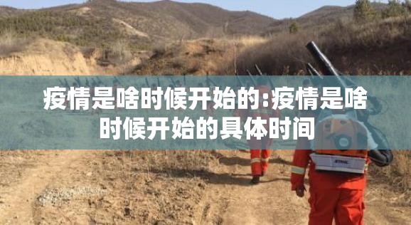 疫情是啥时候开始的:疫情是啥时候开始的具体时间