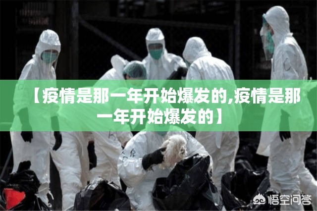 【疫情是那一年开始爆发的,疫情是那一年开始爆发的】