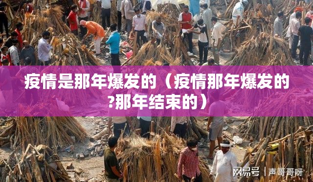 疫情是那年爆发的（疫情那年爆发的?那年结束的）