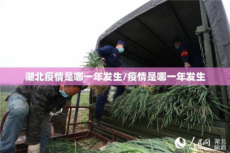 湖北疫情是哪一年发生/疫情是哪一年发生