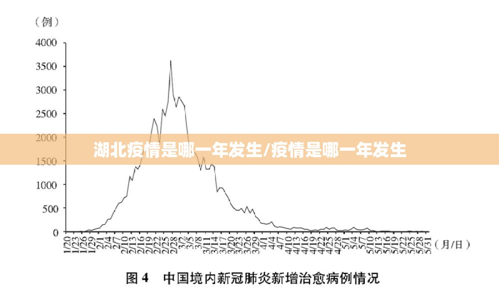 湖北疫情是哪一年发生/疫情是哪一年发生