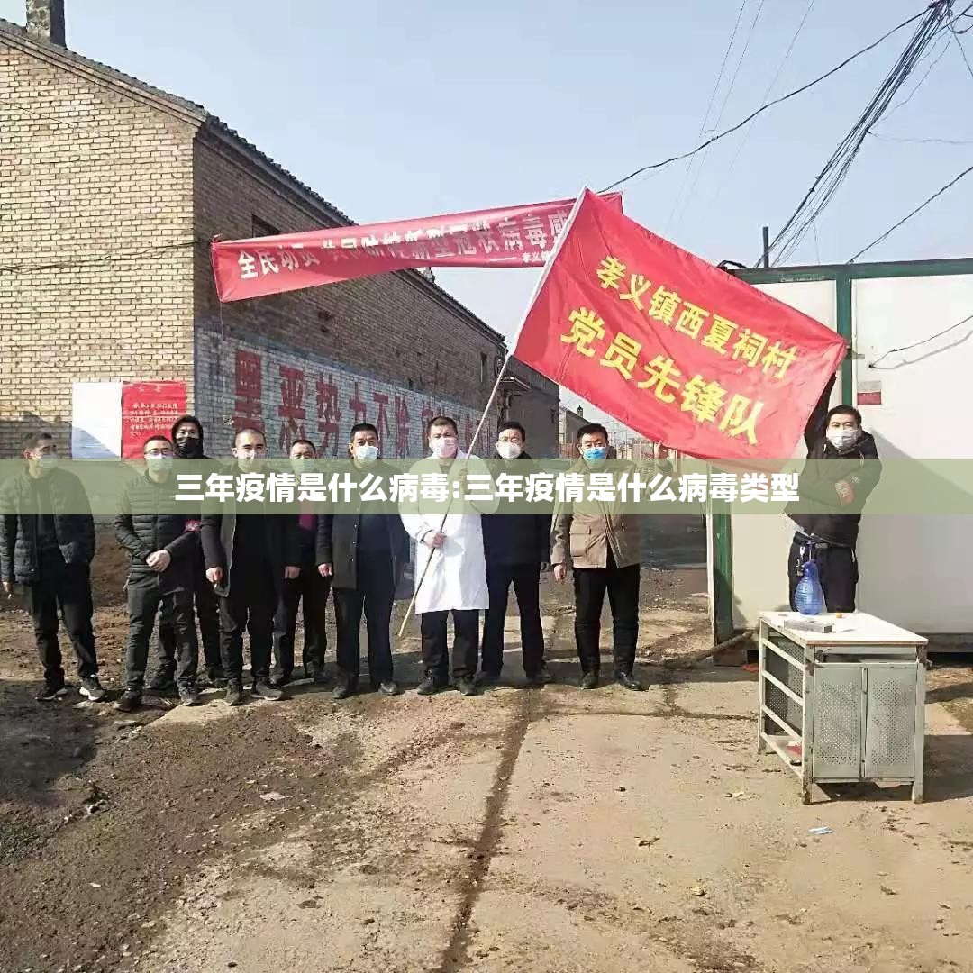 三年疫情是什么病毒:三年疫情是什么病毒类型
