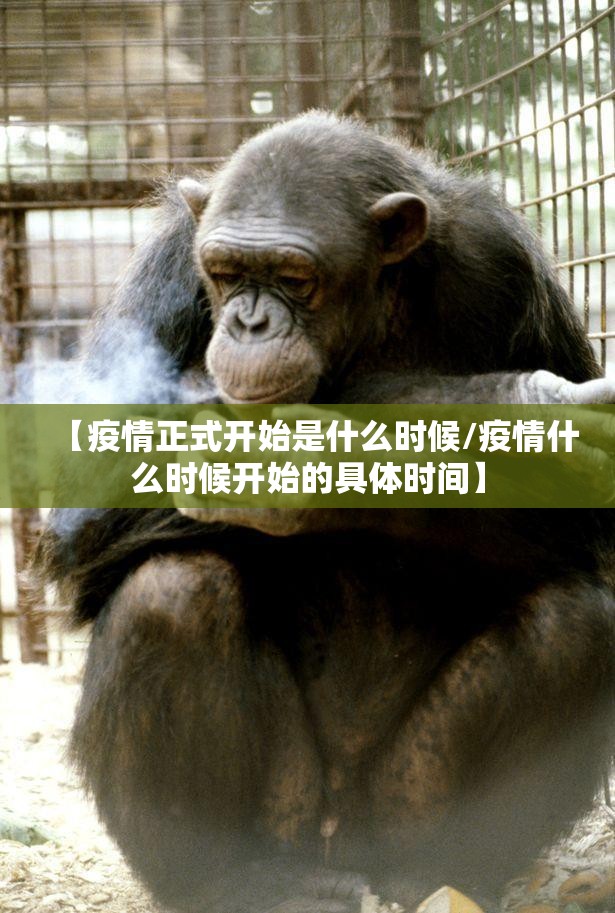 【疫情正式开始是什么时候/疫情什么时候开始的具体时间】