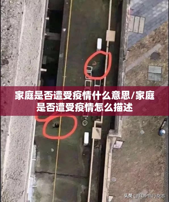 家庭是否遭受疫情什么意思/家庭是否遭受疫情怎么描述