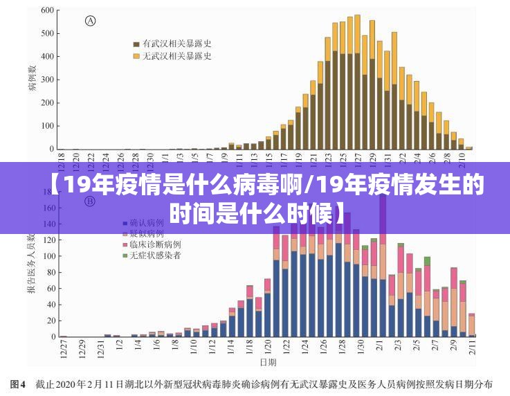 【19年疫情是什么病毒啊/19年疫情发生的时间是什么时候】