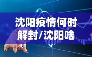 沈阳疫情何时解封/沈阳啥时候解除疫情