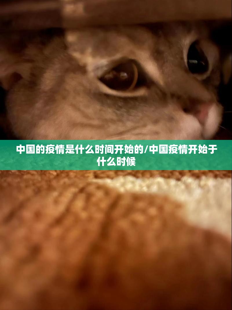 【疫情哪一年爆发,疫情哪一年爆发的最严重】