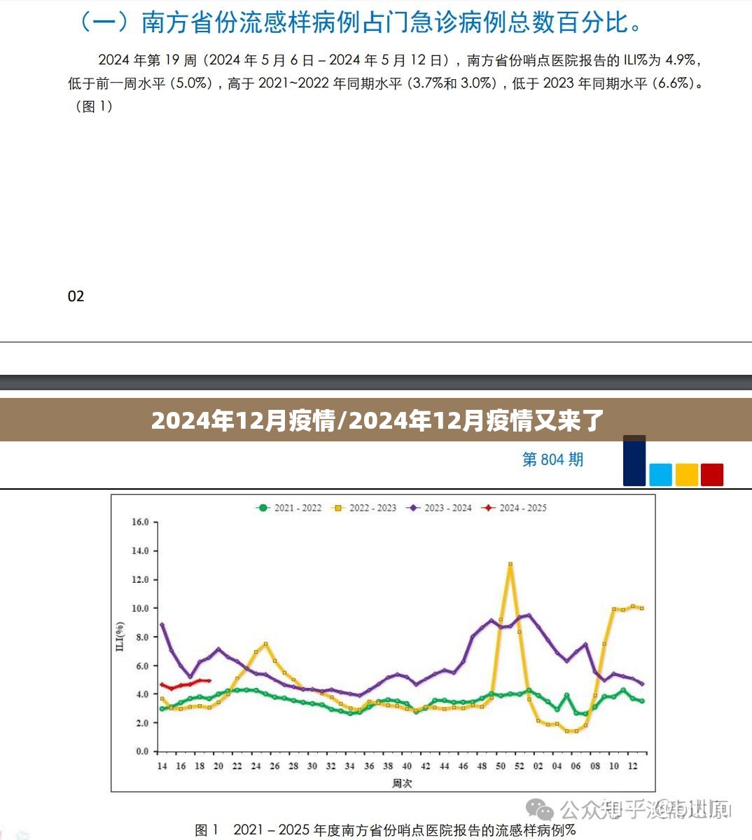 2024年12月疫情/2024年12月疫情又来了