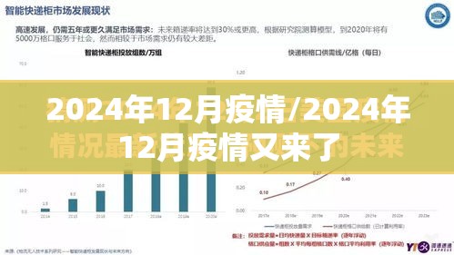 2024年12月疫情/2024年12月疫情又来了