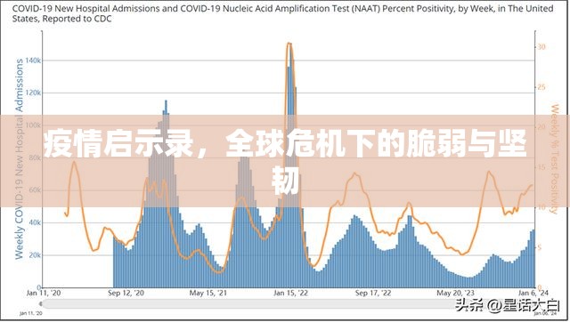 疫情启示录，全球危机下的脆弱与坚韧