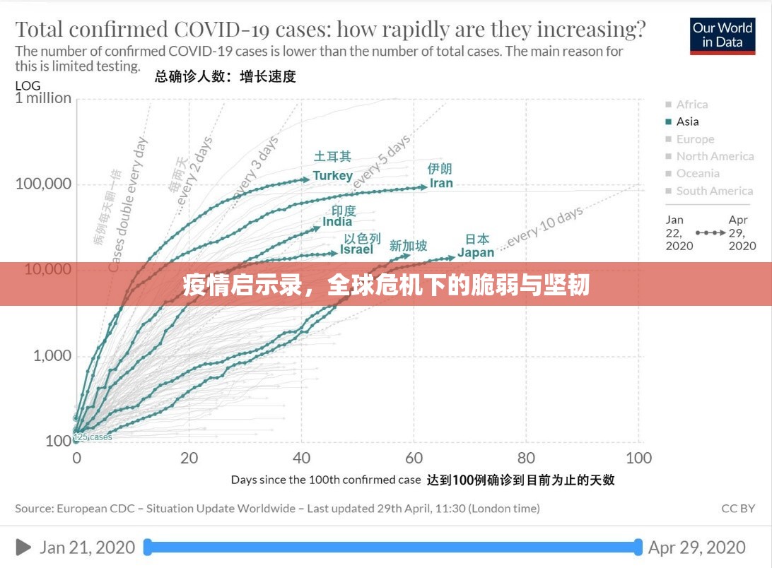 疫情启示录，全球危机下的脆弱与坚韧