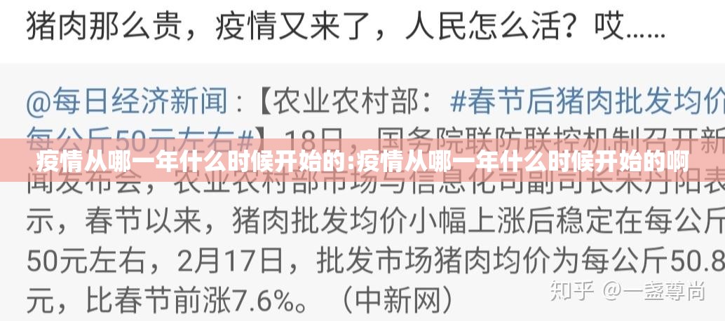 疫情从哪一年什么时候开始的:疫情从哪一年什么时候开始的啊