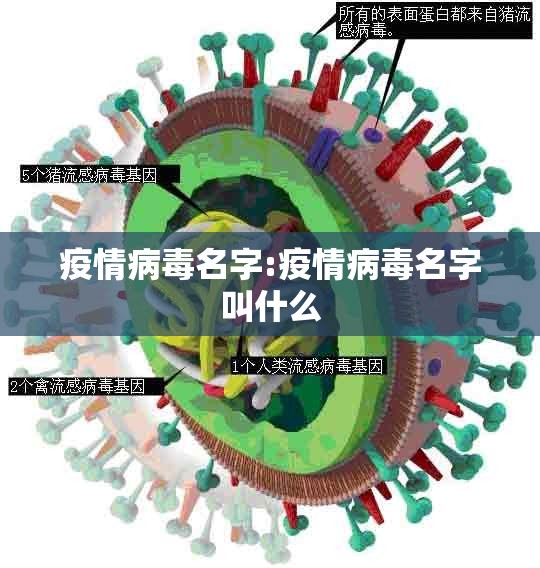 疫情病毒名字:疫情病毒名字叫什么 疫情病毒名字:疫情病毒名字叫什么