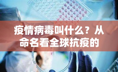 疫情病毒叫什么?从命名看全球抗疫的科学与人文 疫情病毒叫什么?从命名看全球抗疫的科学与人文