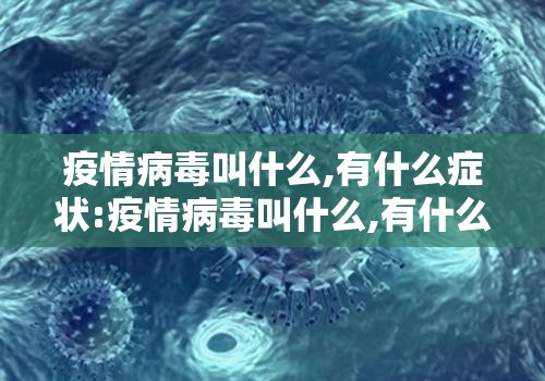 疫情病毒叫什么,有什么症状:疫情病毒叫什么,有什么症状呢