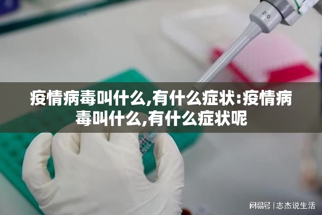 疫情病毒叫什么,有什么症状:疫情病毒叫什么,有什么症状呢