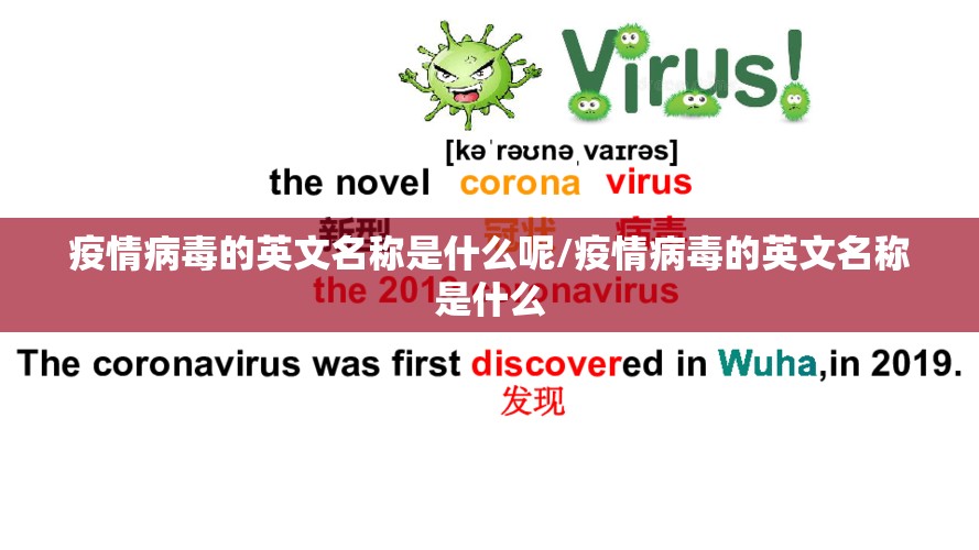 疫情病毒的英文名称是什么呢/疫情病毒的英文名称是什么