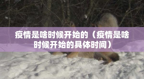 疫情是啥时候开始的（疫情是啥时候开始的具体时间）