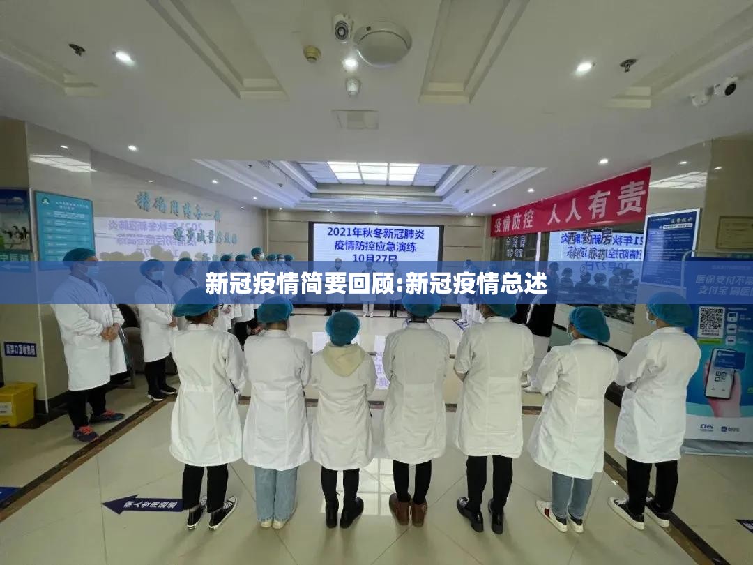 新冠疫情简要回顾:新冠疫情总述