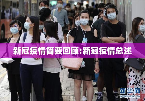 新冠疫情简要回顾:新冠疫情总述