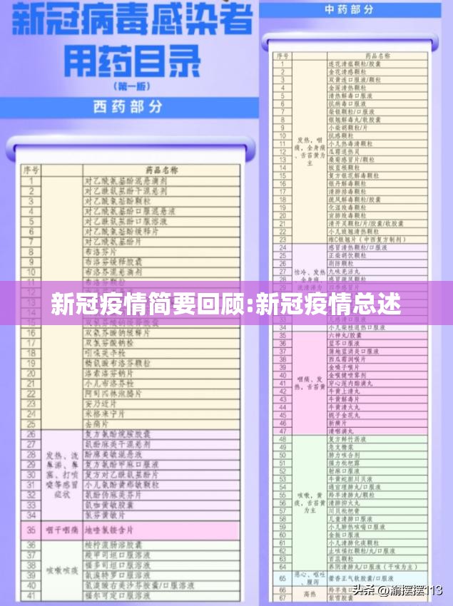 新冠疫情简要回顾:新冠疫情总述