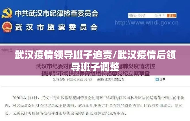 武汉疫情领导班子追责/武汉疫情后领导班子调整