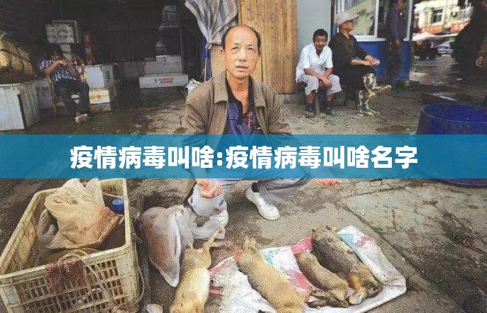 疫情病毒叫啥:疫情病毒叫啥名字