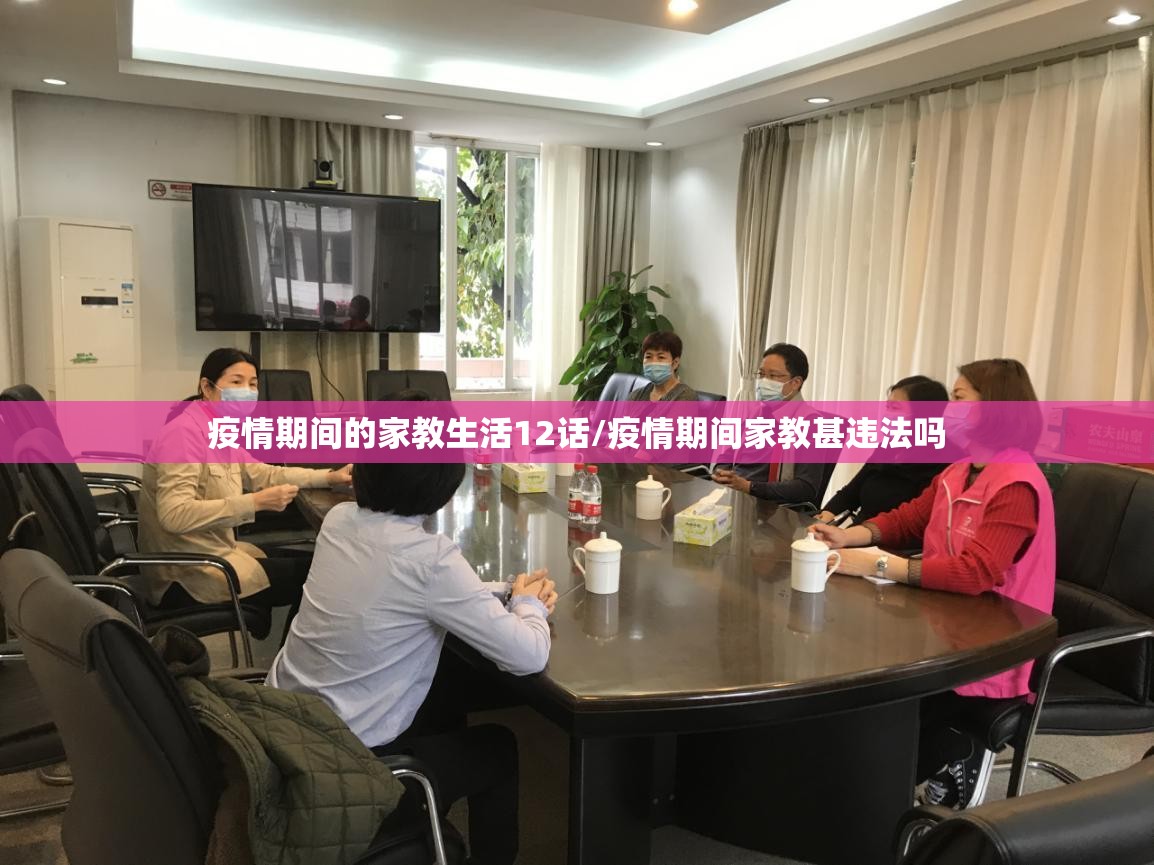 疫情期间的家教生活12话/疫情期间家教甚违法吗