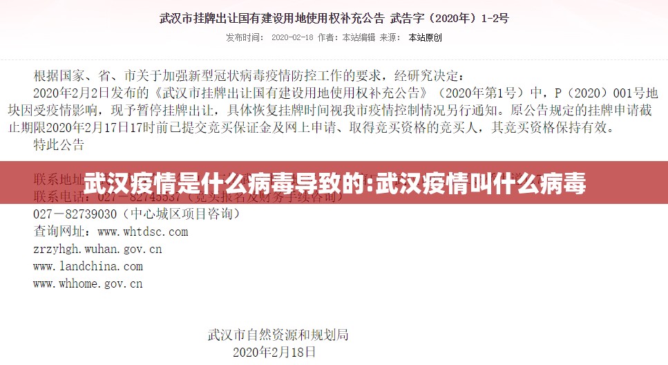 武汉疫情是什么病毒导致的:武汉疫情叫什么病毒