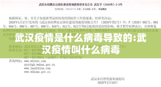 武汉疫情是什么病毒导致的:武汉疫情叫什么病毒