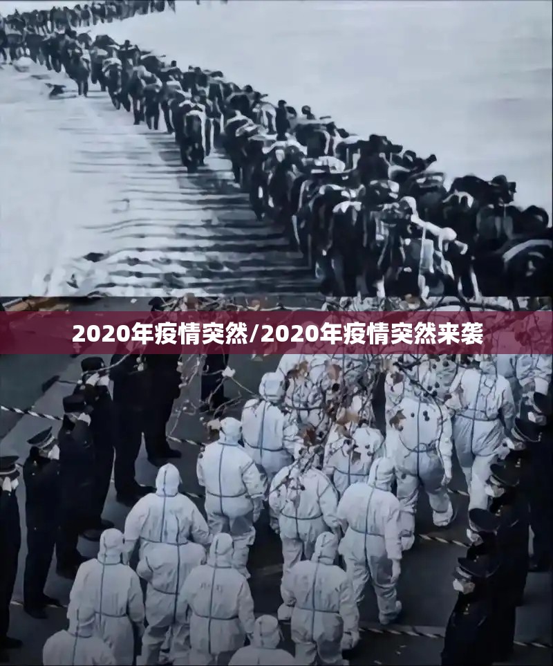 2020年疫情突然/2020年疫情突然来袭