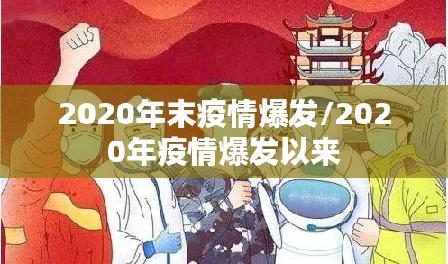 2020年末疫情爆发/2020年疫情爆发以来