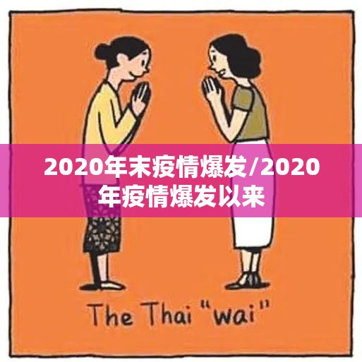 2020年末疫情爆发/2020年疫情爆发以来