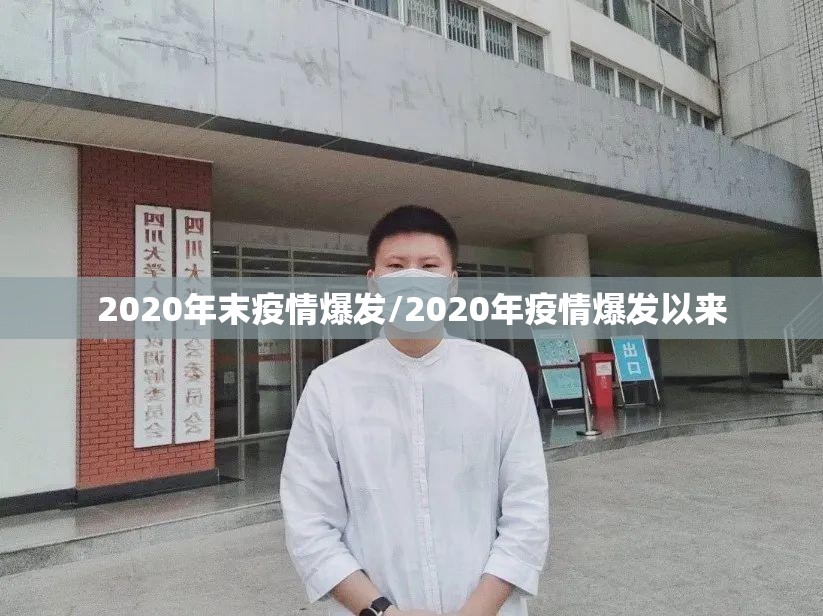 2020年末疫情爆发/2020年疫情爆发以来