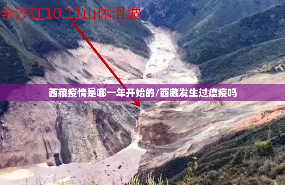 西藏疫情是哪一年开始的/西藏发生过瘟疫吗