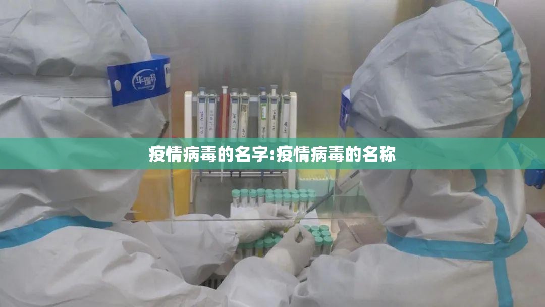 疫情病毒的名字:疫情病毒的名称