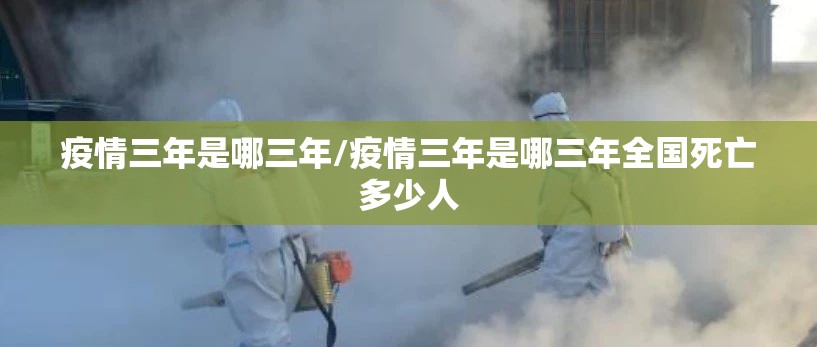 疫情三年是哪三年/疫情三年是哪三年全国死亡多少人